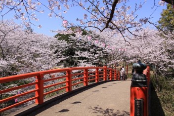 桜の時期ですね！！