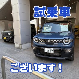 試乗車揃っております！