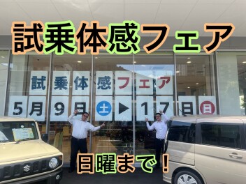 試乗体感フェア日曜日まで！！