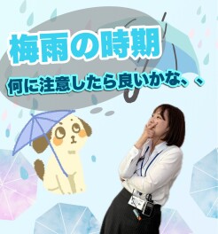 近づく梅雨…茂原の洪水ハザードマップと対処法！！