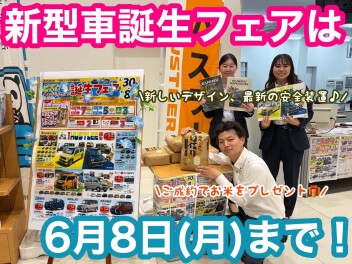 新型誕生フェア最終日間近です！！