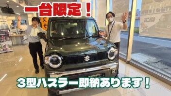 一台限り！３型タフワイルド！