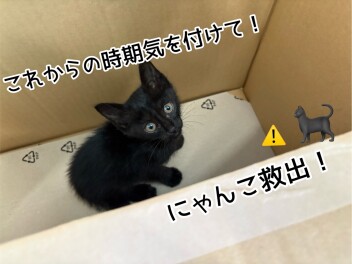 緊急救出！！！=^_^=