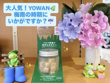 大人気！YOWAN！これからの時期にいかがですか！？