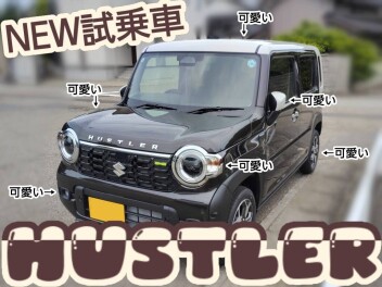 ７月１０日から２１日まで！スズキの日大試乗会！