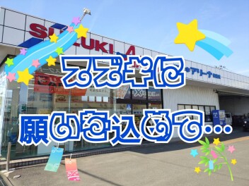 スズキに願いを込めて☆彡