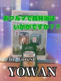さわやなか香りで・・・（＊・ω・）bb