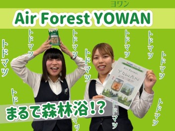 トドマツトドマツトドマツ！YOWANのお話