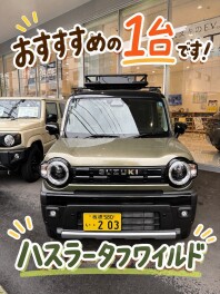 インターンでお邪魔している、さやまです。おすすめの車をご紹介します！
