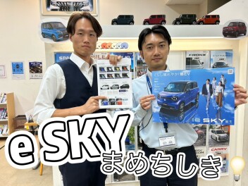 「e SKYってどんなくるま？？」豆知識