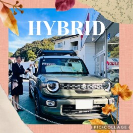 HYBRIDフェア開催！