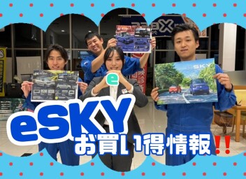 NEW☆彡　電気自動車誕生(/・ω・)/！！　✧˖°✧°˖✧ eSKY ✧˖°✧°˖✧