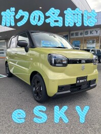 ついにきました≪ｅＳＫＹ≫