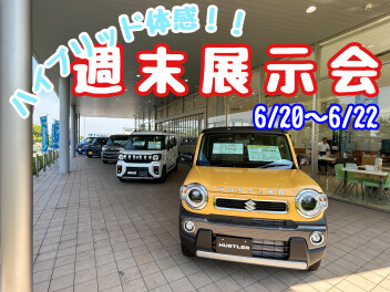 激アツ！スズキの週末展示会！