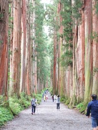 整備士ＳＪのちょっとそこまでぶら散歩