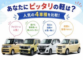 人気の軽自動車！何がおすすめ？【スズキの日開催中】