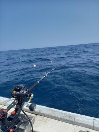 初めての蛸（タコ）釣りに挑戦しました！
