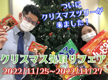 ついに青梅店にもクリスマスツリーがやって来ました☆彡
