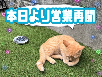 本日より営業再開!(^^)!