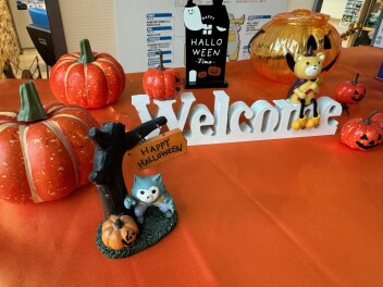 ハロウィンフェア開催！！