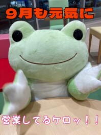 ９月になりました！
