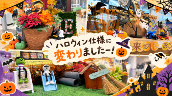 ショールームもハロウィン気分(^^♪