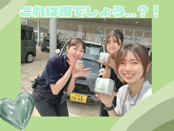 これは何でしょう…？(。´･ω･)?
