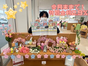 特別金利２.９％今月末まで！！！