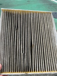 どあつくなってきましたね！！