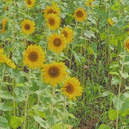 森下のお盆休み日記☆彡