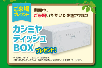 新緑フェア開催！！