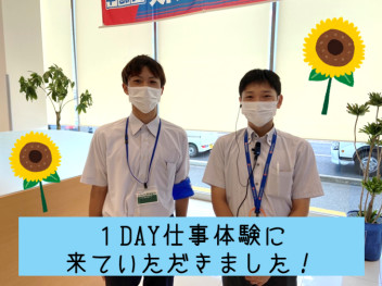 【24卒向け】1DAY仕事体験の様子をご紹介