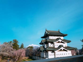 明日、明後日は定休日です♪