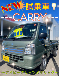 NEWカラーキャリイ(*ﾉωﾉ)！！！