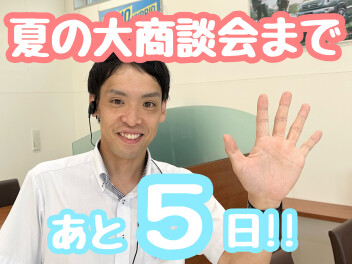 【あと５日！】夏の大商談会は１７日(土)から♪