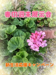 春の商談会♪