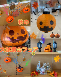 秋の大試乗会フェア開催('ω')ノ