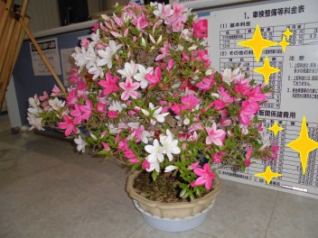 今年も感謝♪