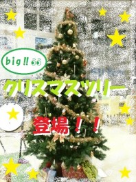 ☆クリスマスツリー登場☆