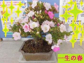 癒されますね～