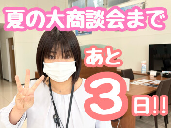 【あと３日！】夏の大商談会は１７日(土)から♪