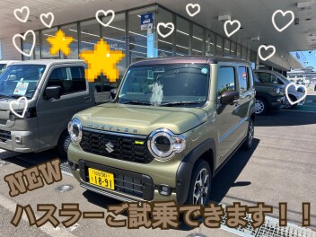 NEWハスラーご試乗できます！！