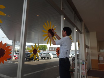 ショールームが夏仕様になりました！