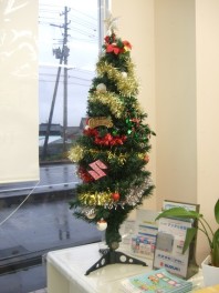 少し早いですがクリスマスツリー！