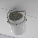 縁起もの♪最終回