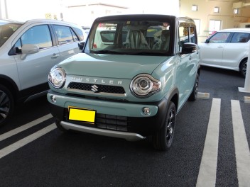 ハスラータフワイルド納車しました。