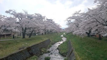 花より団子