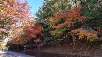 ☆紅葉綺麗でした！