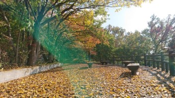 ☆千代田湖まで☆