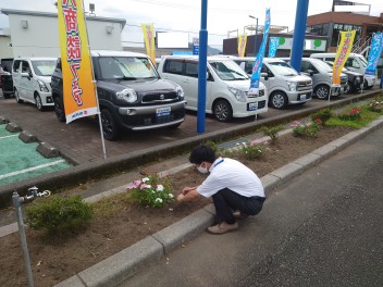 あの車が大人気！！